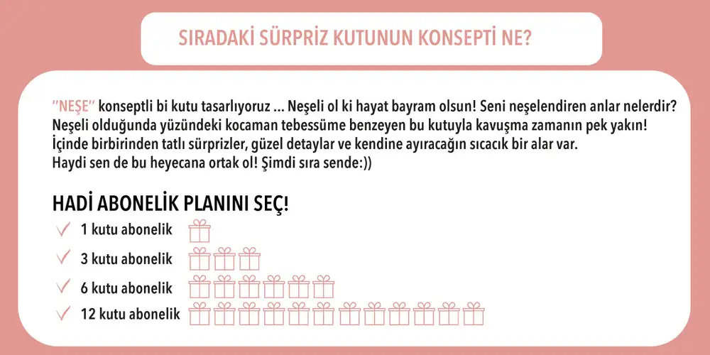 Sürpriz Neşe Hediye Kutusu