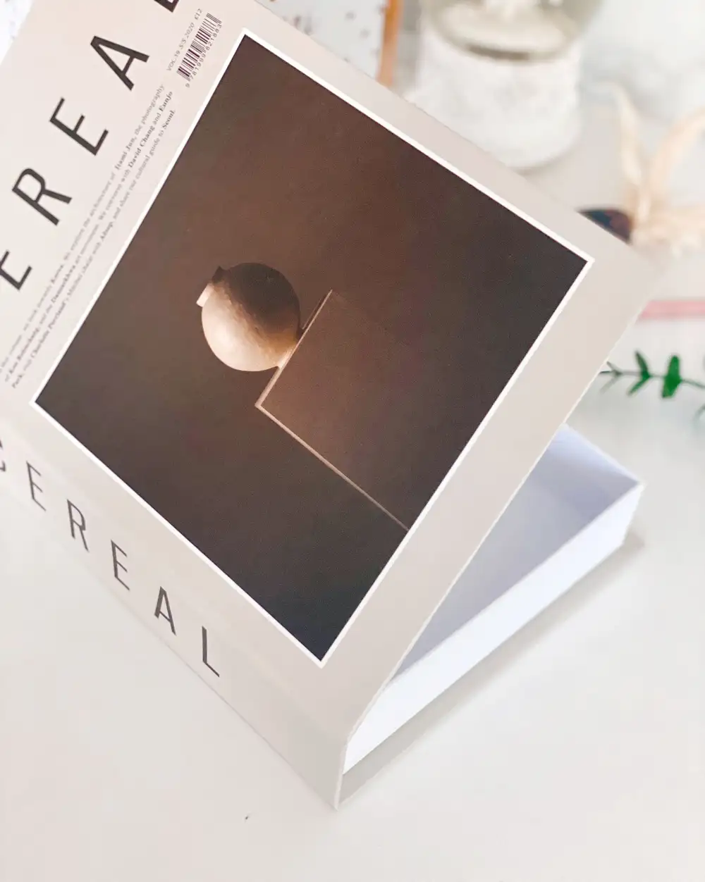 Cereal Dekoratif Kitap Kutusu