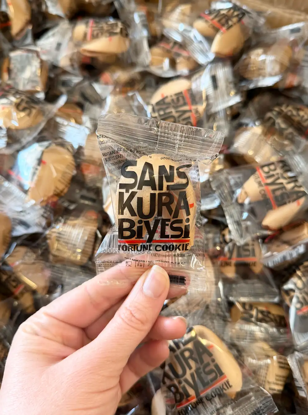 Şans Kurabiyesi Mottolu