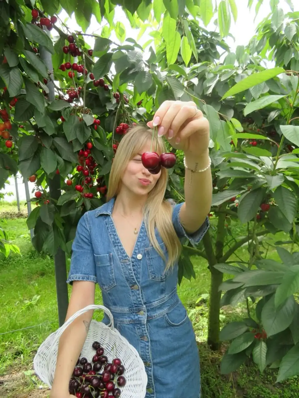 Cherry Hediye Kutusu