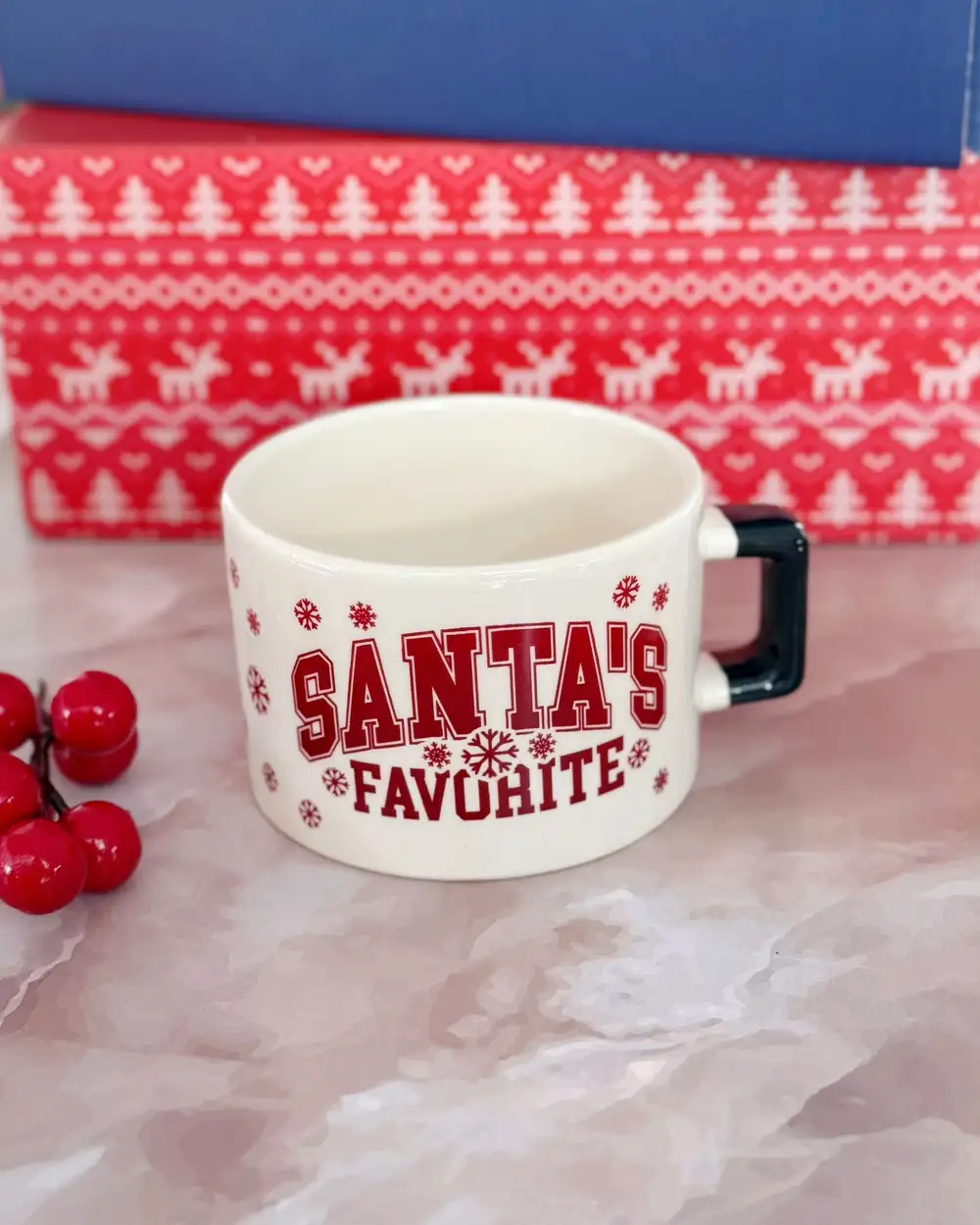 Santa's Favorite Kupa Fincan