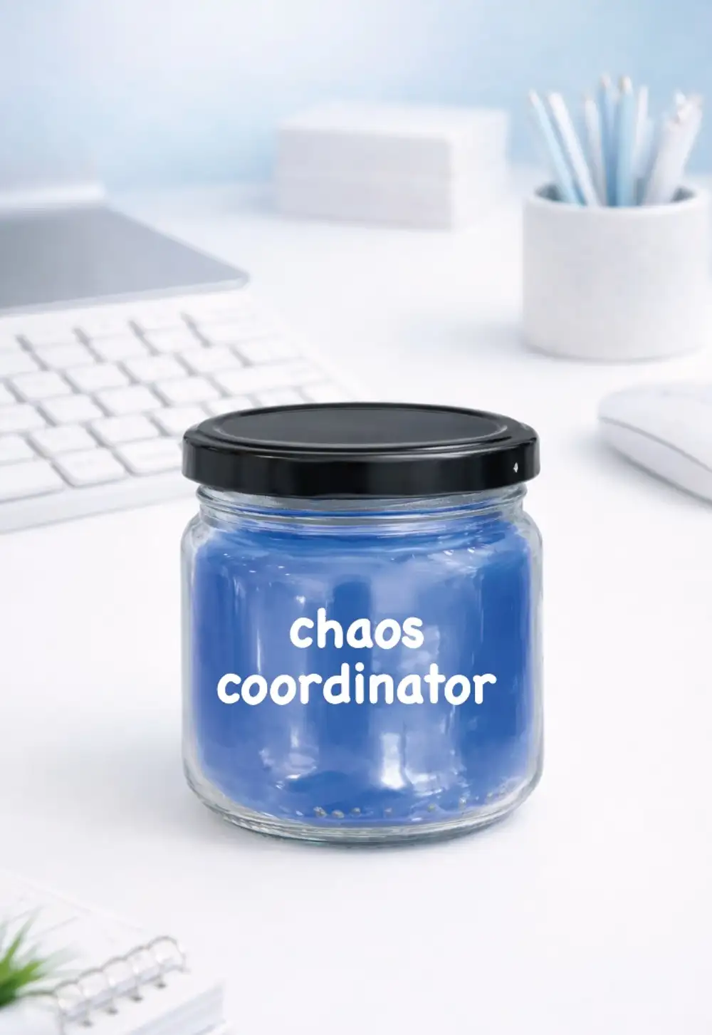 Chaos Coordinator Lacivert Kokulu Kavanoz Mum