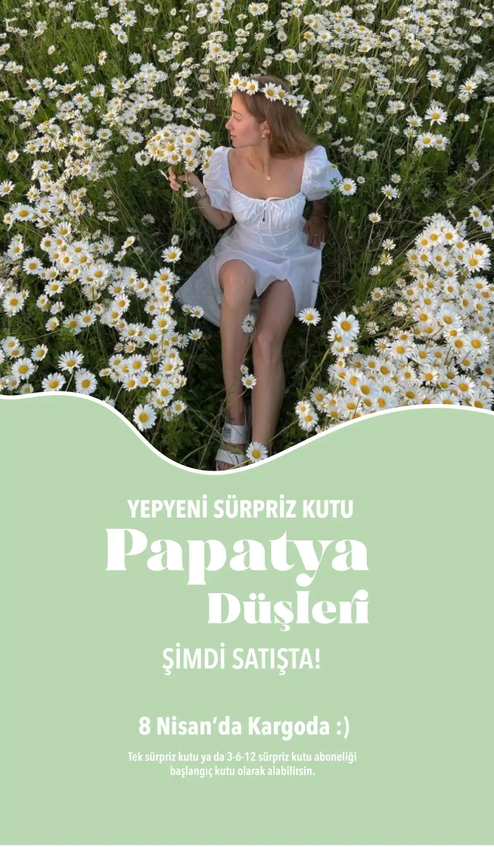 Papatya Düşleri Hediye Kutusu