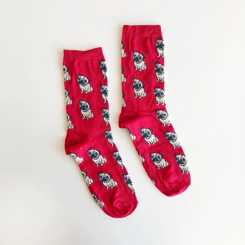 Çorap 005 Sevimli Dostlar - Kırmızı Köpecik Çorap