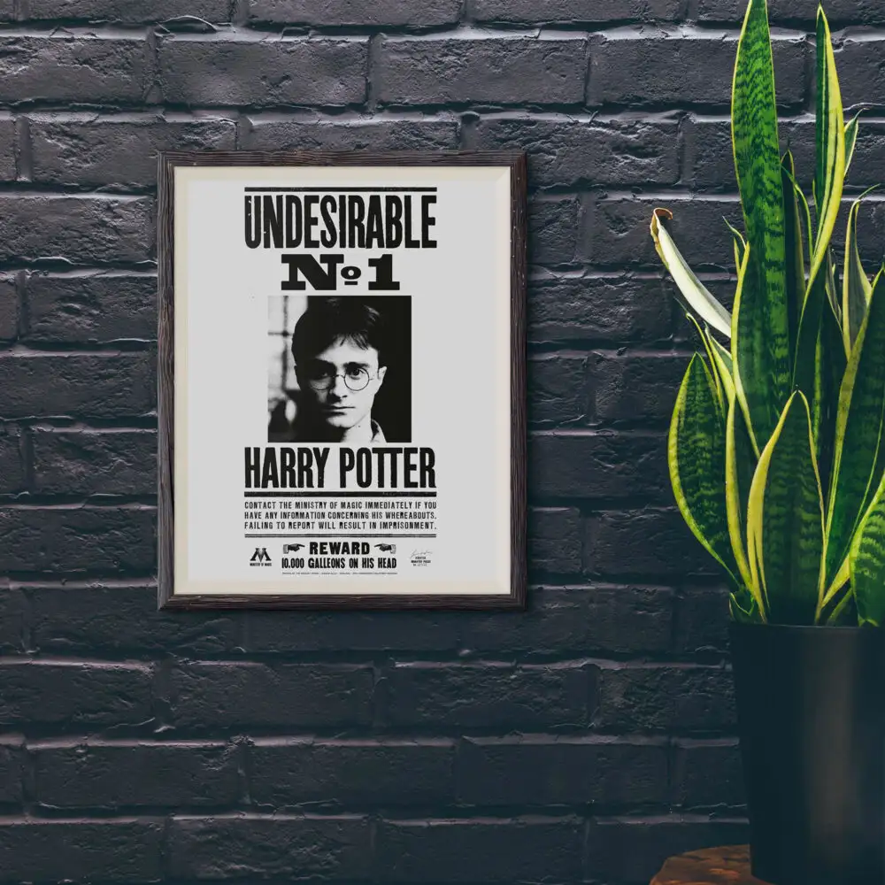 Harry Potter Wizarding World - Poster Harry Potter Portre