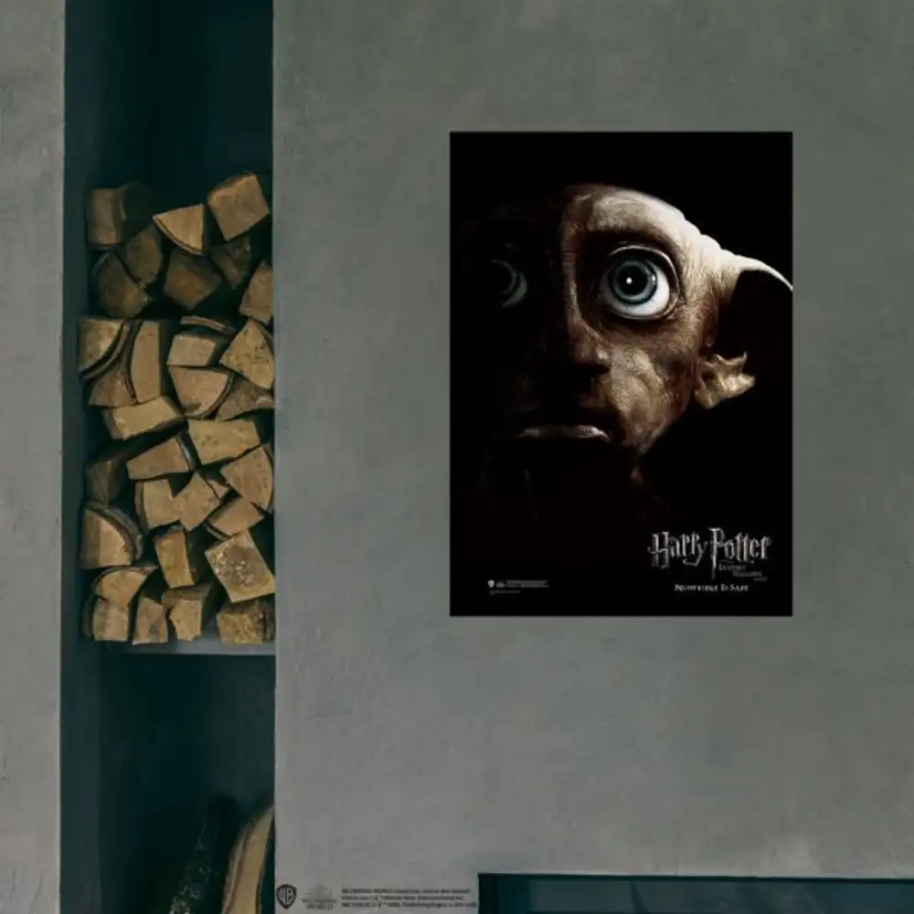 Harry Potter Wizarding World - Poster Dealthly Hallows Dobby