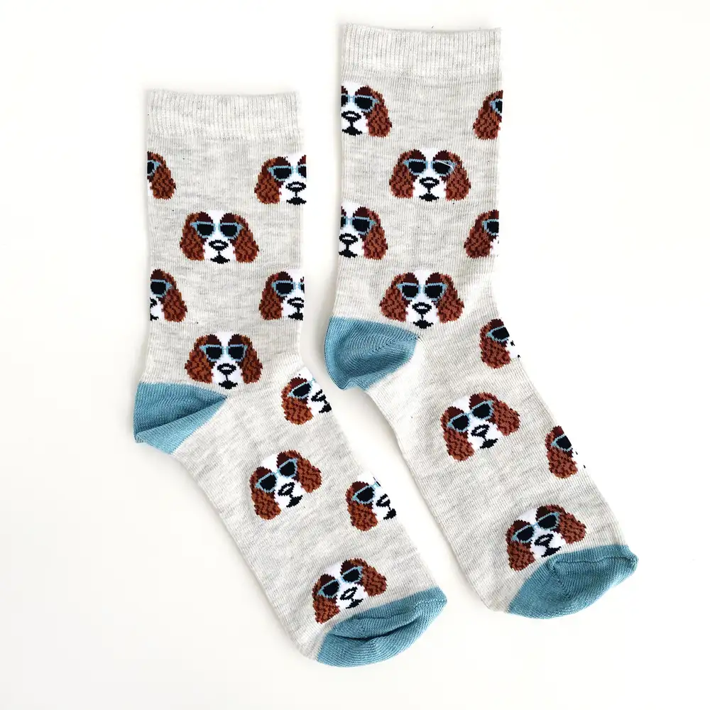Çorap N099 Mavi Gözlüklü Köpek Çorap