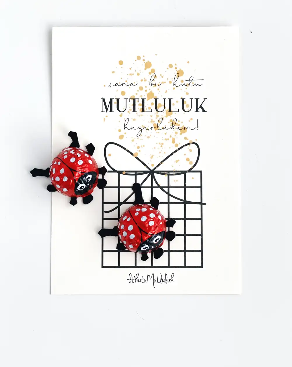 2'li Nostaljik Uğur Böceği Çikolata ve Sana Bi kutu Mutluluk Hazırladım Motto Kartı