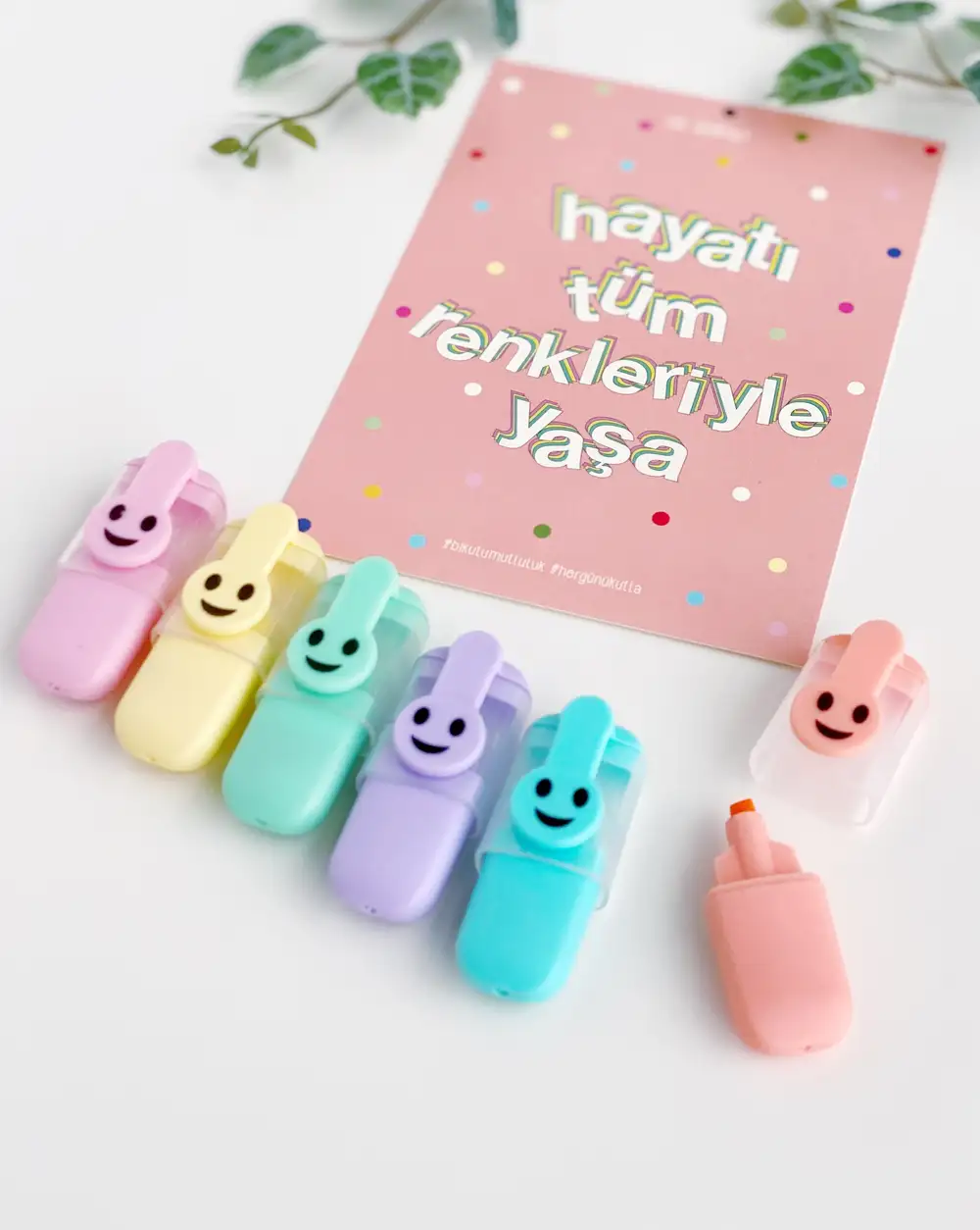 Gülen Yüz Ve Hayatı Rengarenk Yaşa Motto Kartı Fosforlu Kalemler 6lı Mini Boy Pastel Renkler