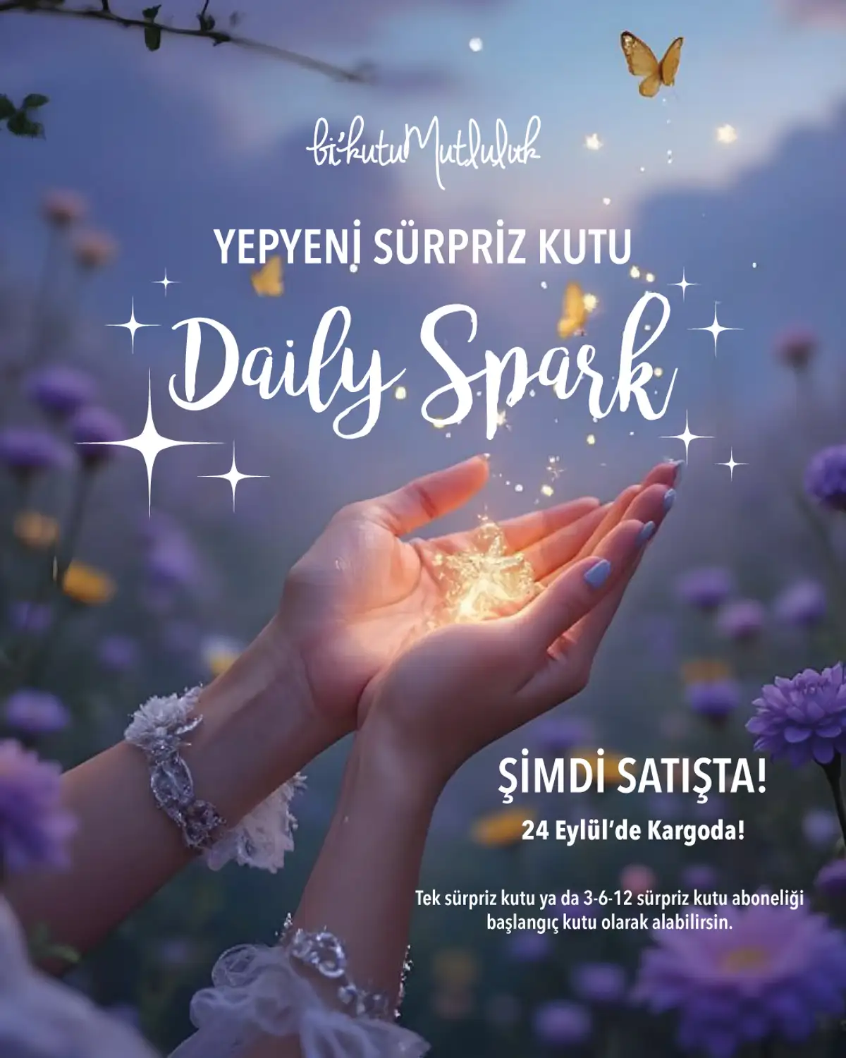 Daily Spark Kutusu - Bikutumutluluk