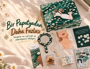 Papatya Neyi Simgeler? Sevginin En Saf Hali, Papatyanın Anlamı ve Hikâyesi 🌼