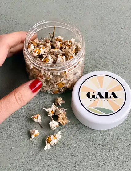 Gaia Rahatlatıcı Çay Papatya Bitki Çayı