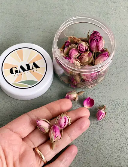 Gaia Anatolia Çay Tomurcuk Gül Bitki Çayı Kahve Sunumu Gül Kurusu