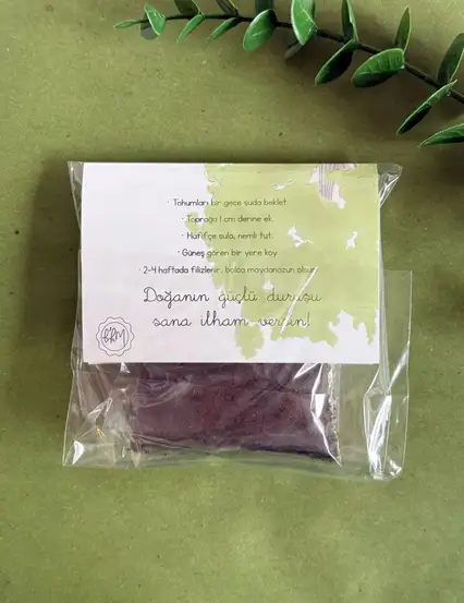 Doğanın Güçlü Duruşu Maydanoz Tohumu Kiti