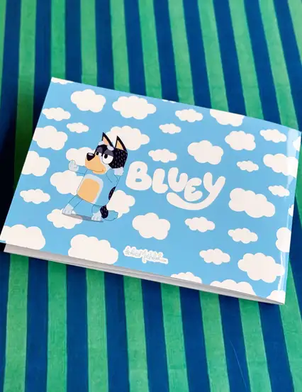 Bluey - Çocuk Resim Defteri Serisi