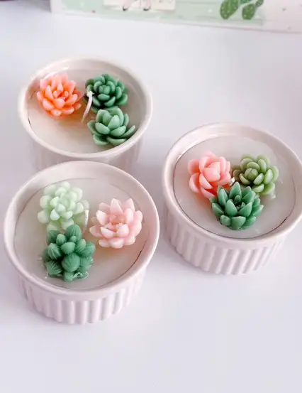 Sukulent Hediyelik Mum