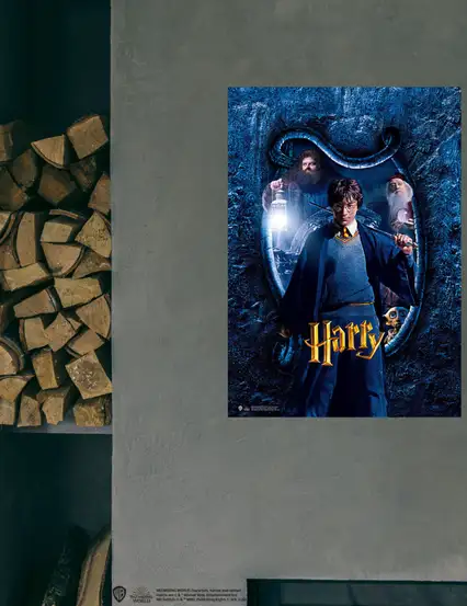 Harry Potter Wizarding World - Poster Harrry Potter Hogwarts