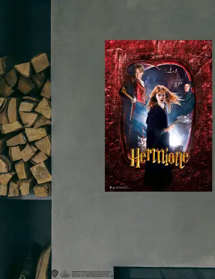 Harry Potter Wizarding World - Poster Hermione Granger Hogwarts
