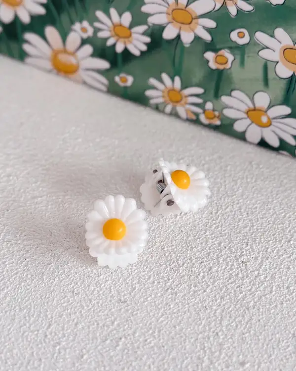 Papatya Düşleri Hediye Kutusu