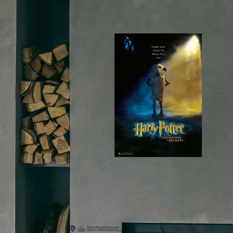 Harry Potter Wizarding World - Poster Dobby Hogwarts