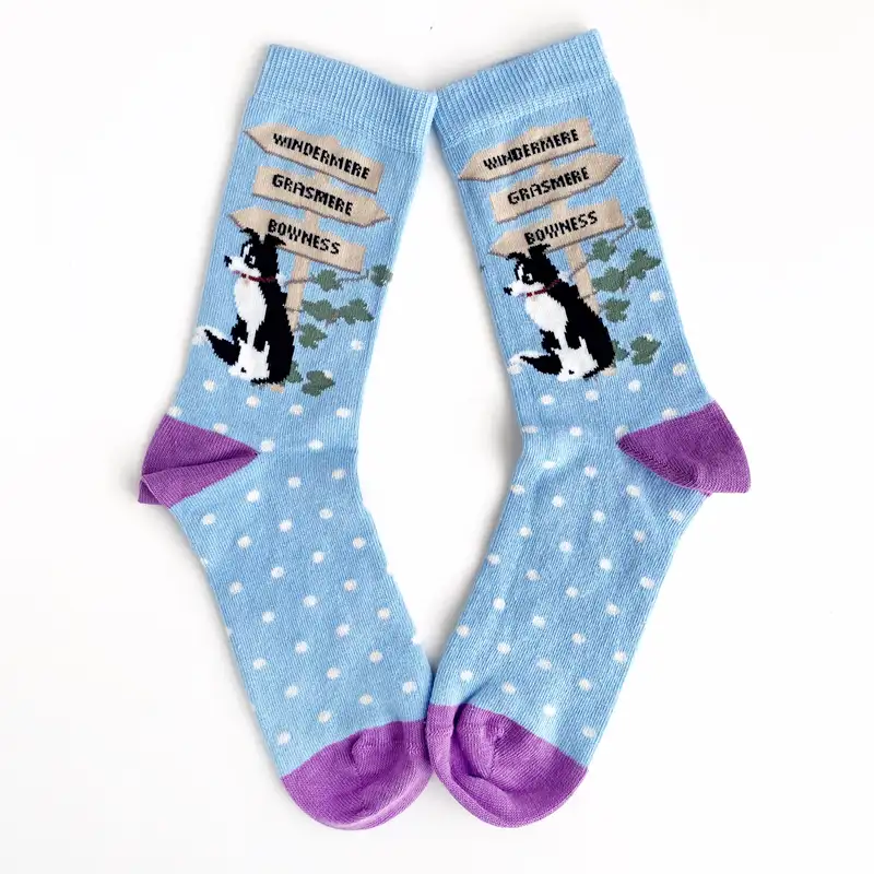 Çorap N437 - Mavi Puantiyeli Köpek Çorap